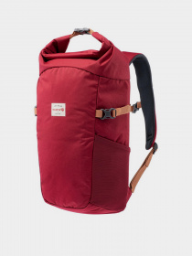 Рюкзак Iguana Cosmin модель COSMIN-POMEGRANADE Фото