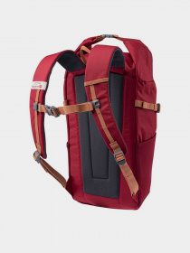 Рюкзак Iguana Cosmin модель COSMIN-POMEGRANADE Фото