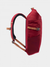 Повседневный рюкзак Iguana Cosmin модель COSMIN-POMEGRANADE Фото