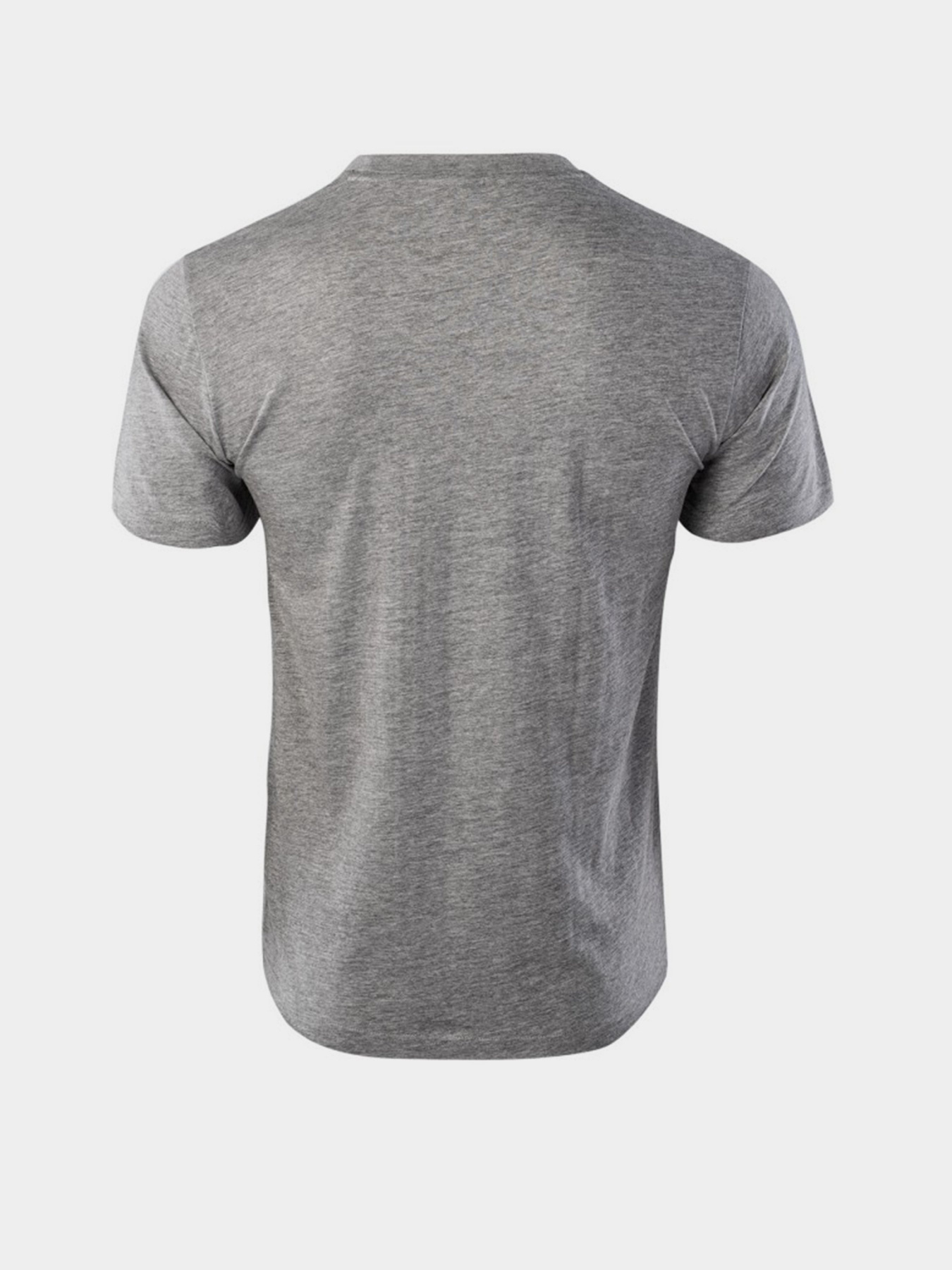 Футболки и поло Iguana Gordon модель GORDON-GREY MELANGE/BLACK Фото