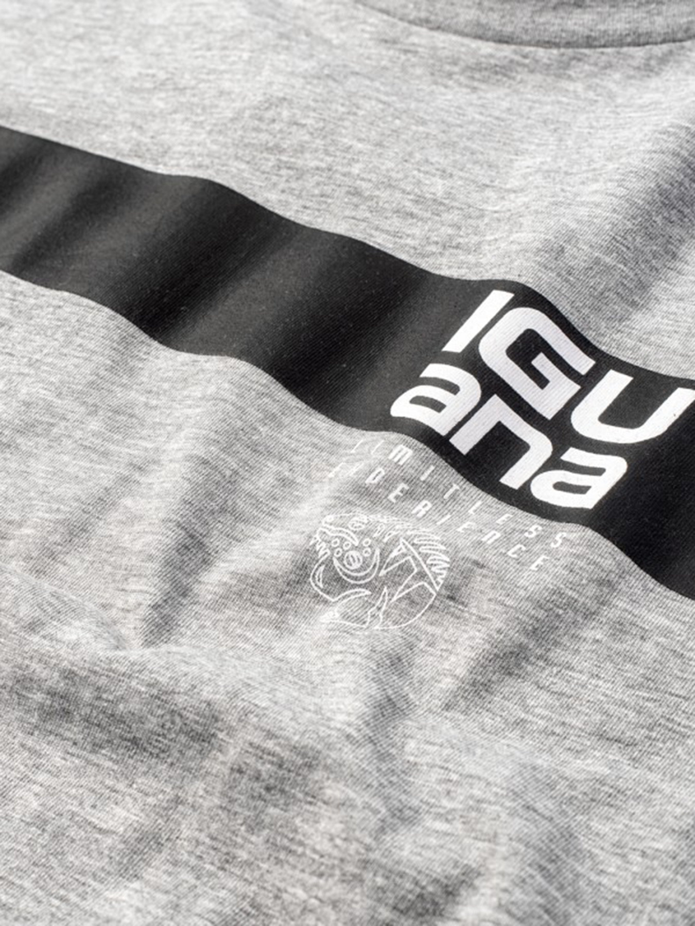 Футболки и поло Iguana Gordon модель GORDON-GREY MELANGE/BLACK Фото