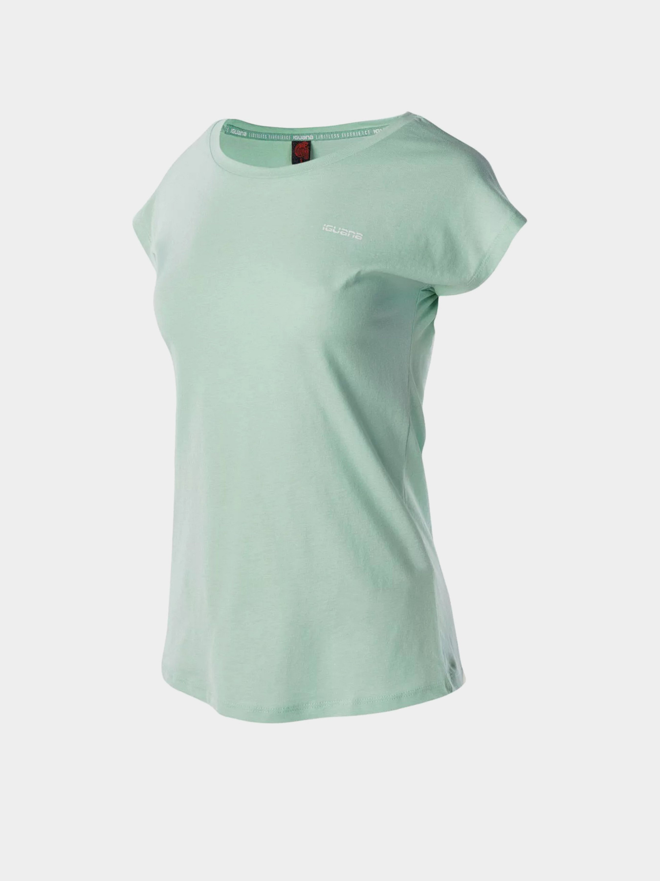 Футболка Iguana Nuka модель NUKA W-BIRD’S EGG GREEN Фото