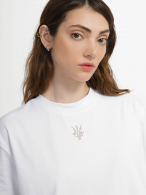 Футболка INTERTOP KALUSH модель 162-3 Фото