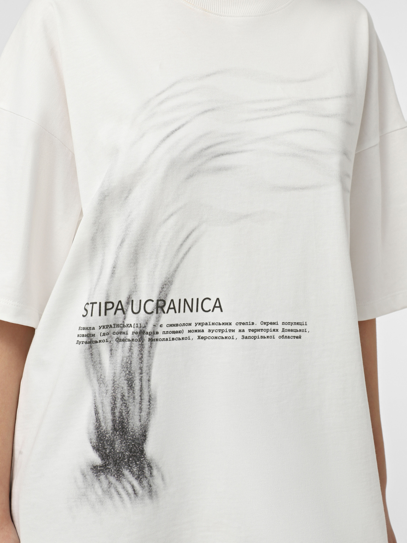 Футболка GENDERLESS x INTERTOP модель GDL-143-36 Фото