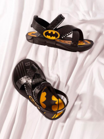 Сандалии Ipanema модель 22169-20566 Фото