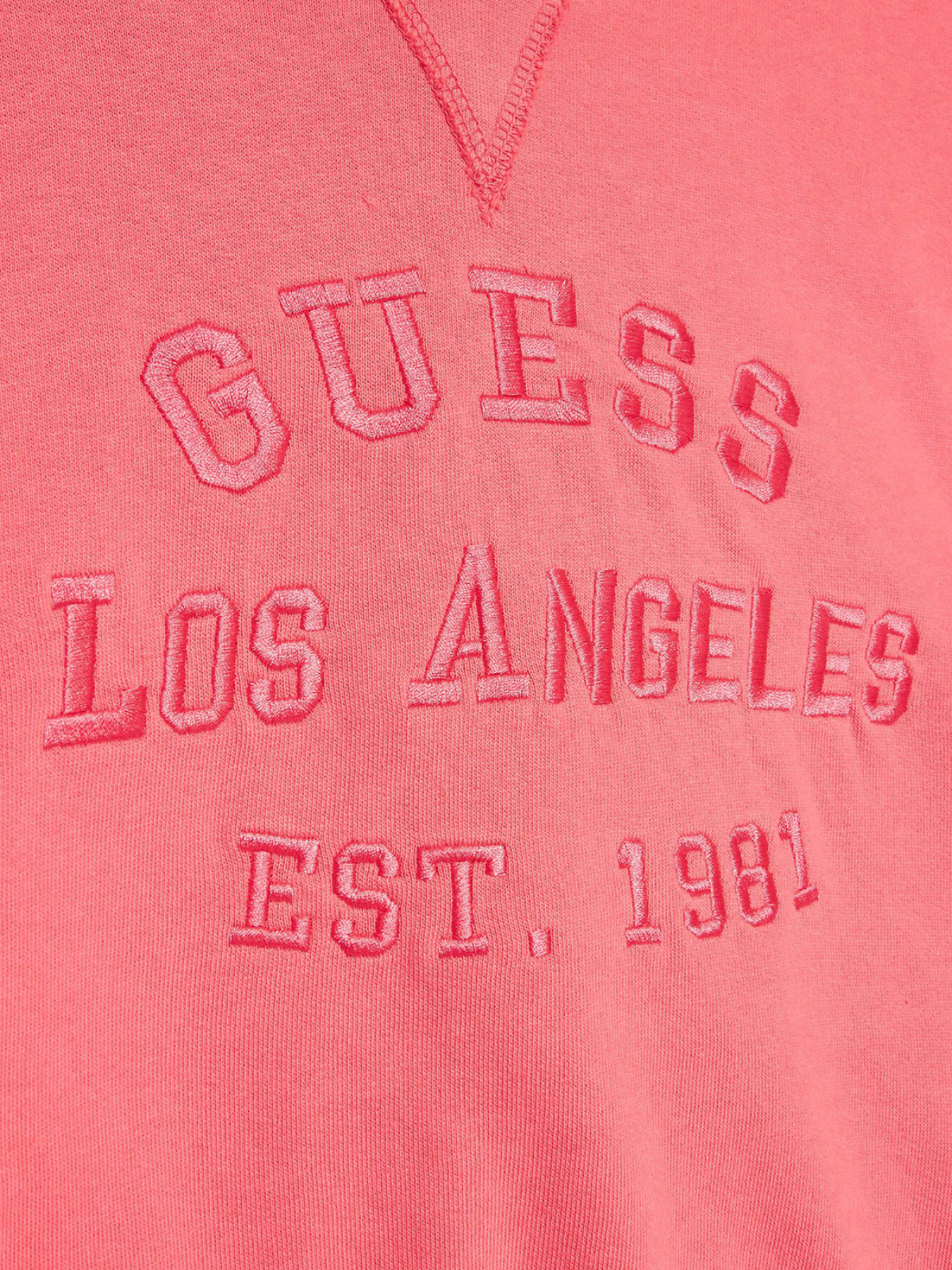 Худі GUESS модель J3GQ00.KA6R3;A60Y Фото