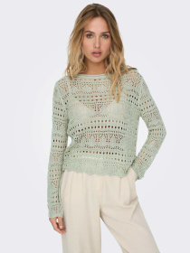Худі та світшоти JDY SUN LAY L/S BOATNECK PULLOV. K модель 15287384_Desert Sage Фото