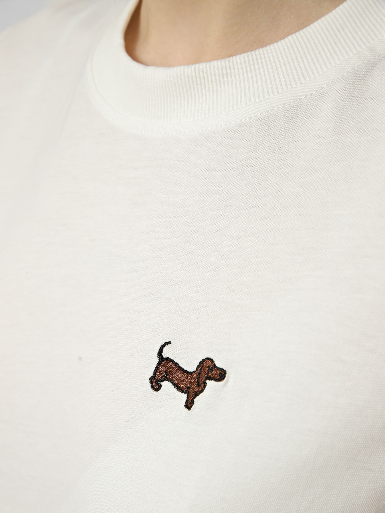 Футболки і поло JDY PISA S/S PRINT TOP модель 15298612_Cloud Dancer DOG Фото