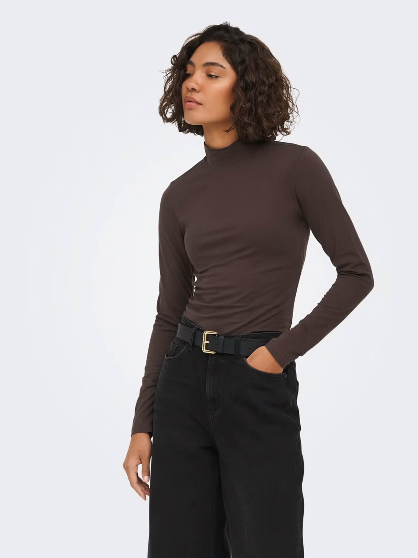 Свитры и кардиганы JDY AVA NEW TURTLENECK TOP модель 15211083_Chocolate Torte Фото