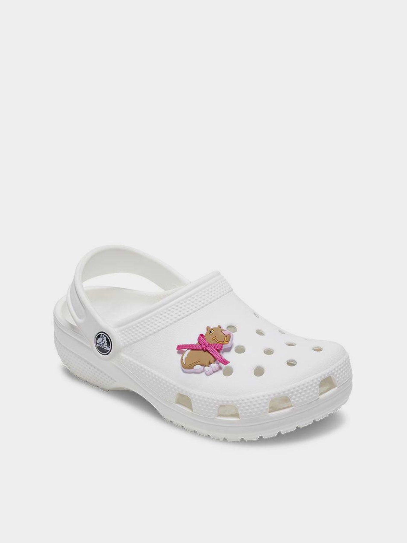 Аксессуары для обуви Jibbitz COQUETTE CAPYBARA модель 10017628 Фото