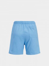 Шорты JJXX Barbara модель 12200372_Azure Blue Фото