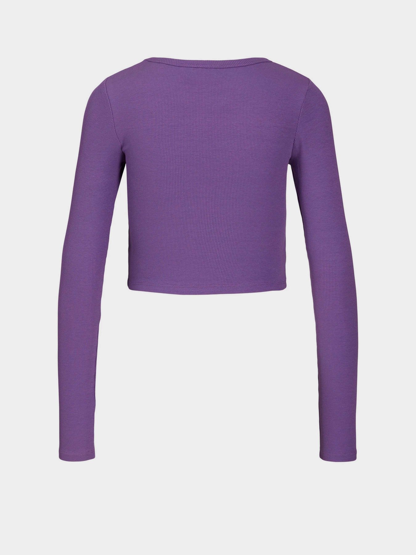 Лонгслив JJXX Jxfeline модель 12200402_Royal Lilac Фото