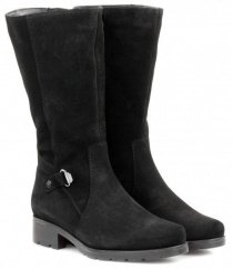 Сапоги и ботфорты Janita модель J47569-0801-83F41201 Фото