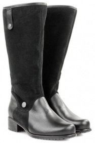 Чоботи та ботфорти Janita модель J47109-05010801-93F21601 Фото