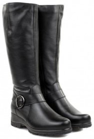 Чоботи та ботфорти Janita модель J43619-0501-93F21301 Фото