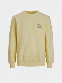 Свитшот JACK & JONES модель 12235353_French Vanilla Свитшот JACK & JONES модель 12235353_French Vanilla Фото