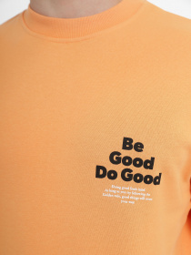 Свитшот JACK & JONES модель 12235353_Pumpkin Фото