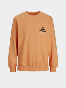 Свитшот JACK & JONES модель 12235353_Pumpkin Фото