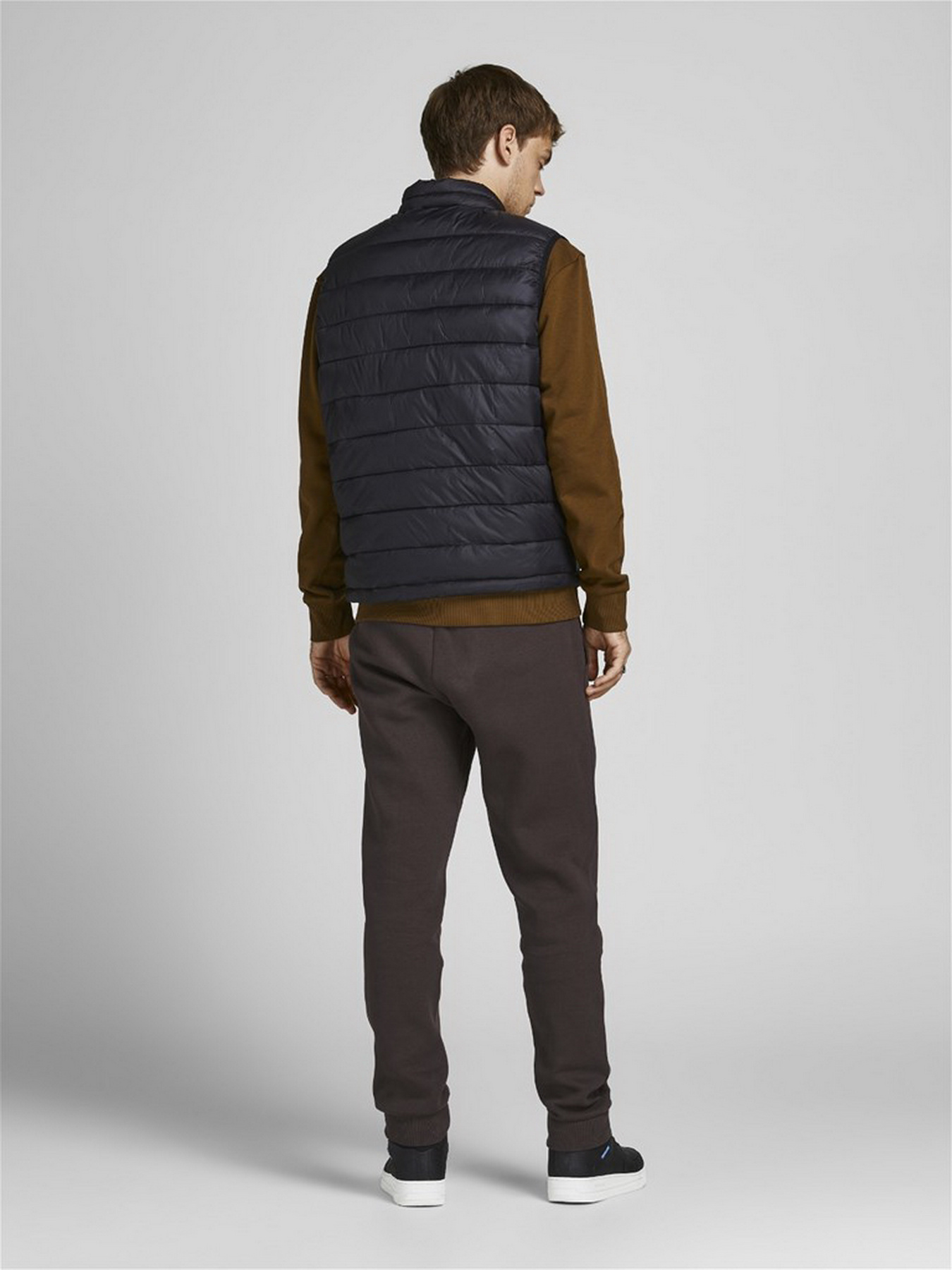 Джоггеры JACK & JONES модель 12178421_Seal Brown Фото
