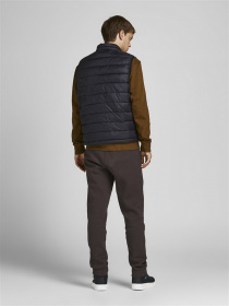 Джоггеры JACK & JONES модель 12178421_Seal Brown Фото