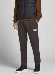 Джоггеры JACK & JONES модель 12178421_Seal Brown Фото