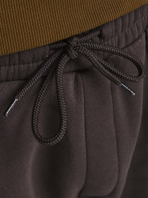 Джоггеры JACK & JONES модель 12178421_Seal Brown Фото