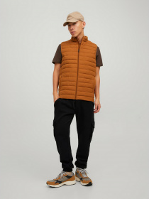 Джогери JACK & JONES модель 12195583_Black Фото