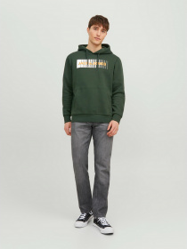 Худи JACK & JONES модель 12233599_Mountain View Фото