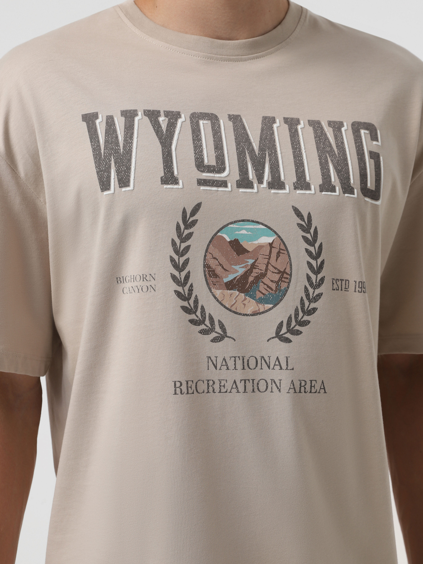 Футболка JACK & JONES модель 12264396_Moonbeam Фото