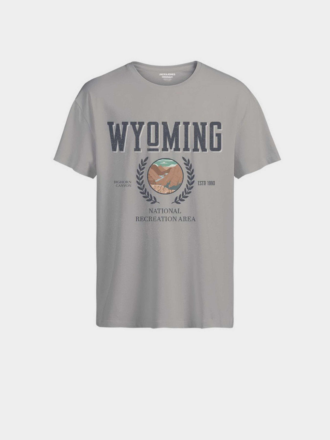 Футболка JACK & JONES модель 12264396_Moonbeam Фото