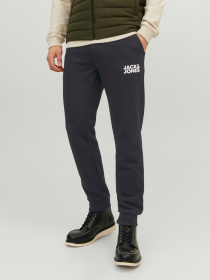 Джоггеры JACK & JONES модель 12178421_Black Фото