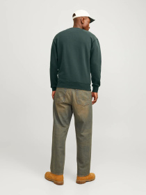 Свитшот JACK & JONES модель 12241694_Forest River Фото