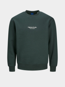 Свитшот JACK & JONES модель 12241694_Forest River Фото