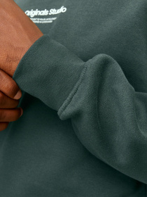 Світшот JACK & JONES модель 12241694_Forest River Фото