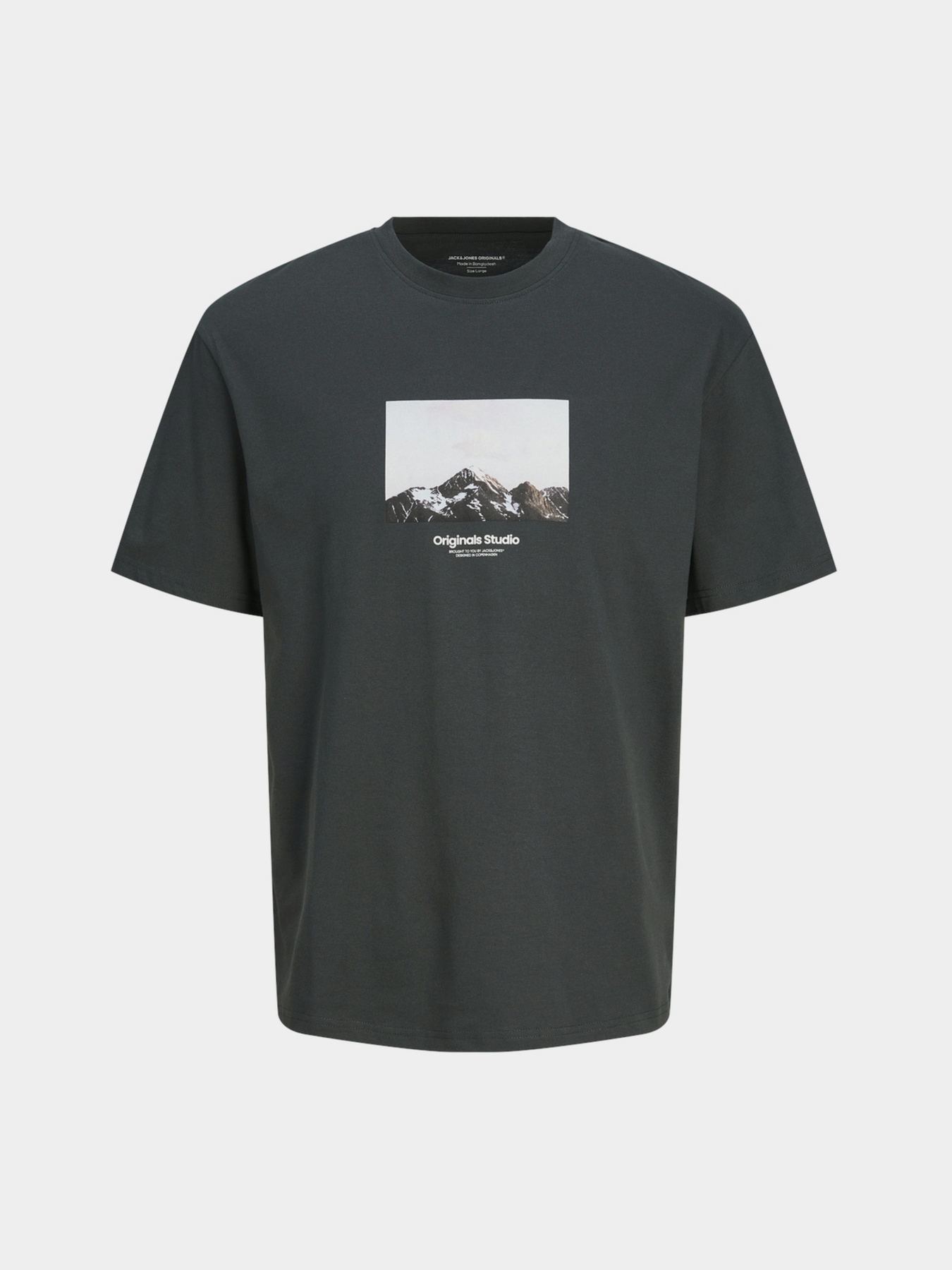 Футболка JACK & JONES модель 12250421_Forest River AW24 Фото