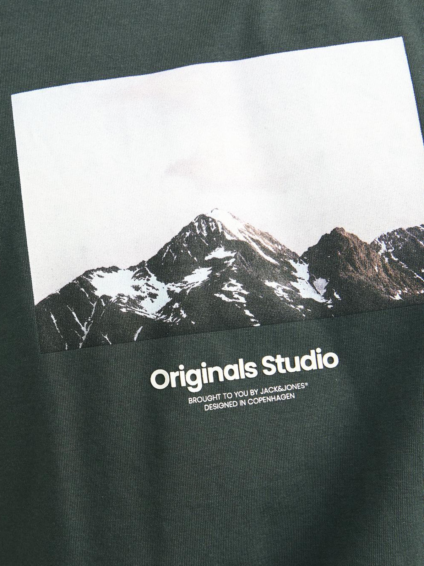 Футболка JACK & JONES модель 12250421_Forest River AW24 Фото
