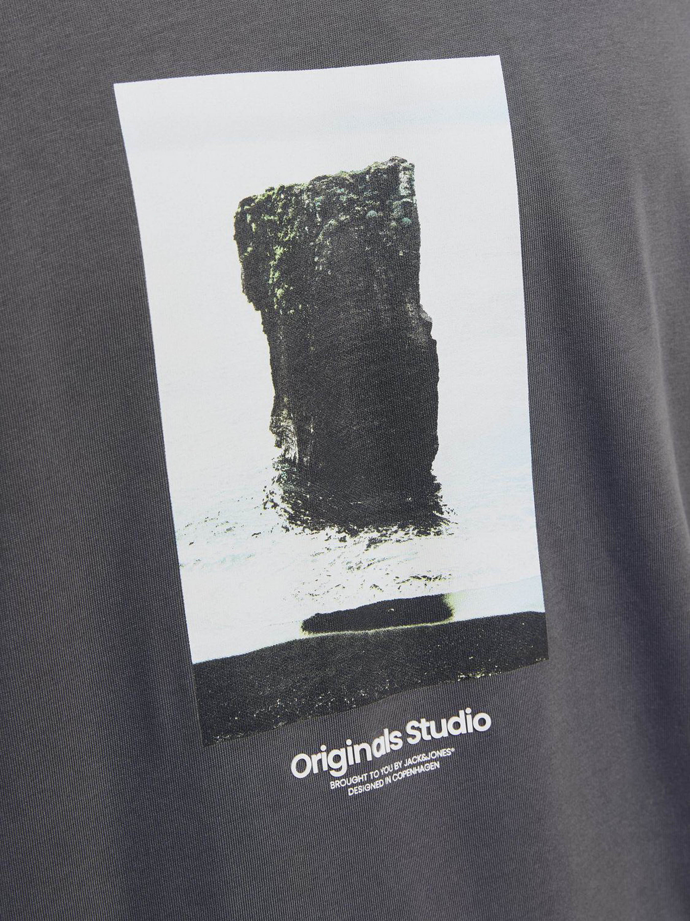 Футболка JACK & JONES модель 12250421_Iron Gate AW24 Фото