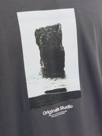 Футболка JACK & JONES модель 12250421_Iron Gate AW24 Фото