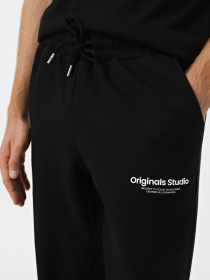 Джогери JACK & JONES модель 12268878_Black Фото