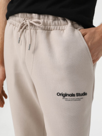 Джогери JACK & JONES модель 12268878_Moonbeam Фото