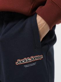 Штаны спортивные JACK & JONES модель 12266749_Sky Captain Фото
