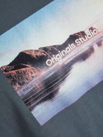 Футболка JACK & JONES модель 12250421_Stormy Weather SS25 Фото