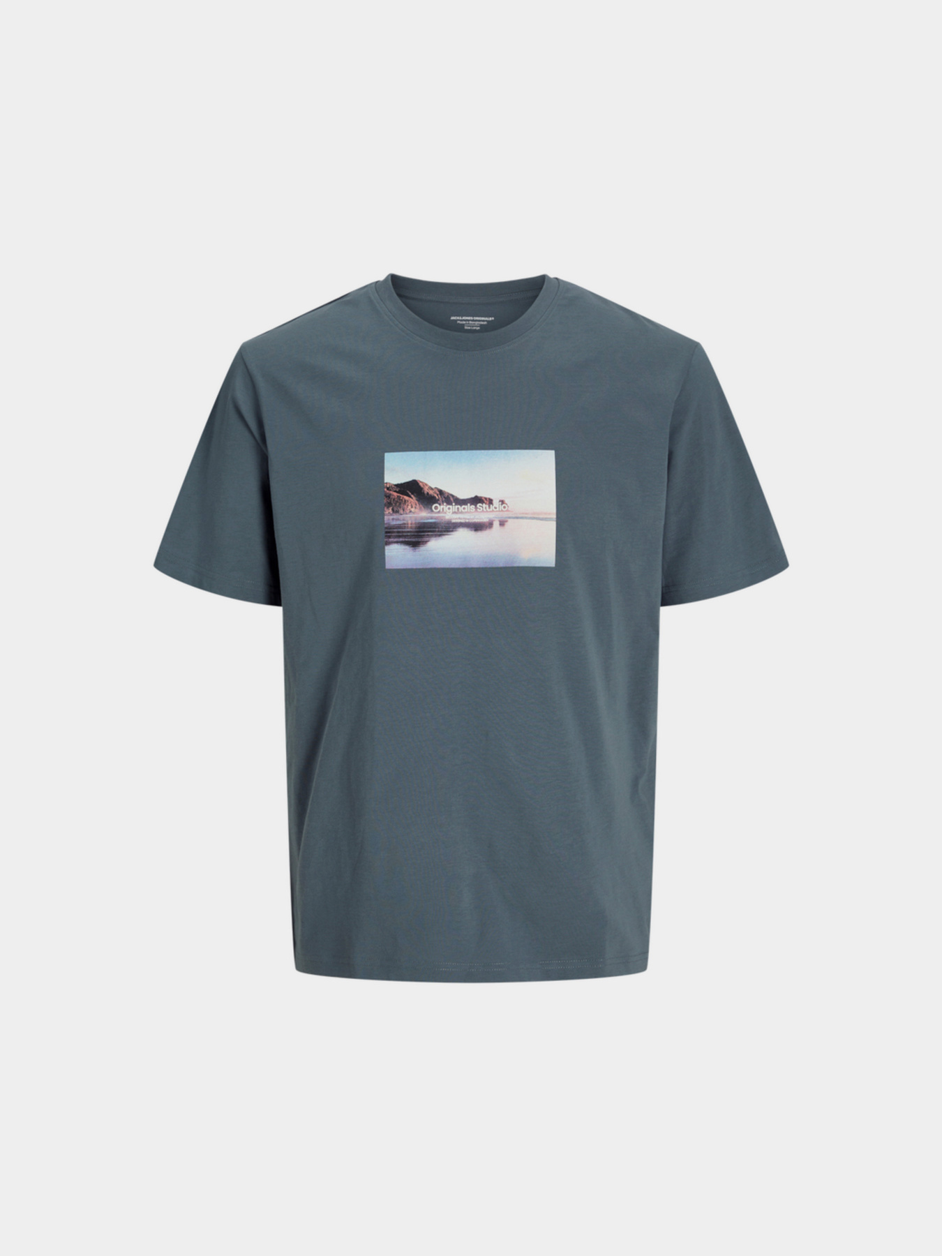 Футболка JACK & JONES модель 12250421_Stormy Weather SS25 Футболка JACK & JONES модель 12250421_Stormy Weather SS25 Фото