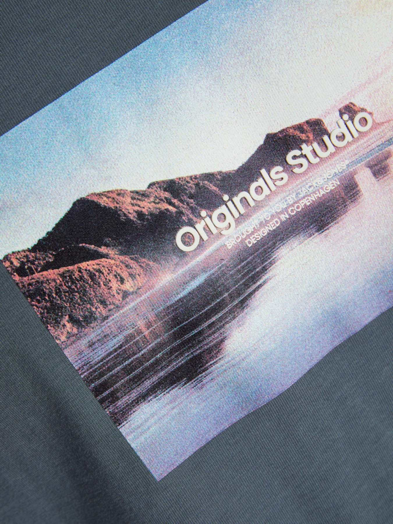 Футболка JACK & JONES модель 12250421_Stormy Weather SS25 Футболка JACK & JONES модель 12250421_Stormy Weather SS25 Фото