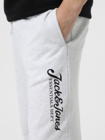 Штаны спортивные JACK & JONES модель 12268768_White Melange Фото
