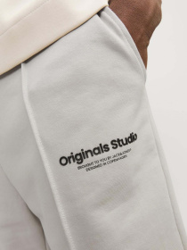 Повсякденні шорти JACK & JONES модель 12252251_Moonbeam Фото