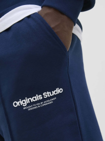 Шорти JACK & JONES модель 12252251_Ocean Cavern Фото