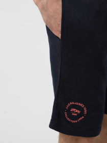 Повсякденні шорти JACK & JONES модель 12268446_Sky Captain Фото