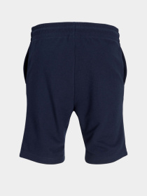 Повсякденні шорти JACK & JONES модель 12268446_Sky Captain Фото