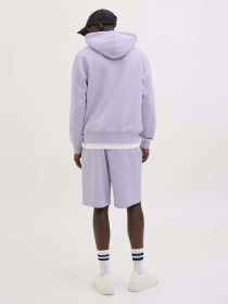 Шорти JACK & JONES модель 12252251_Cosmic Sky Фото